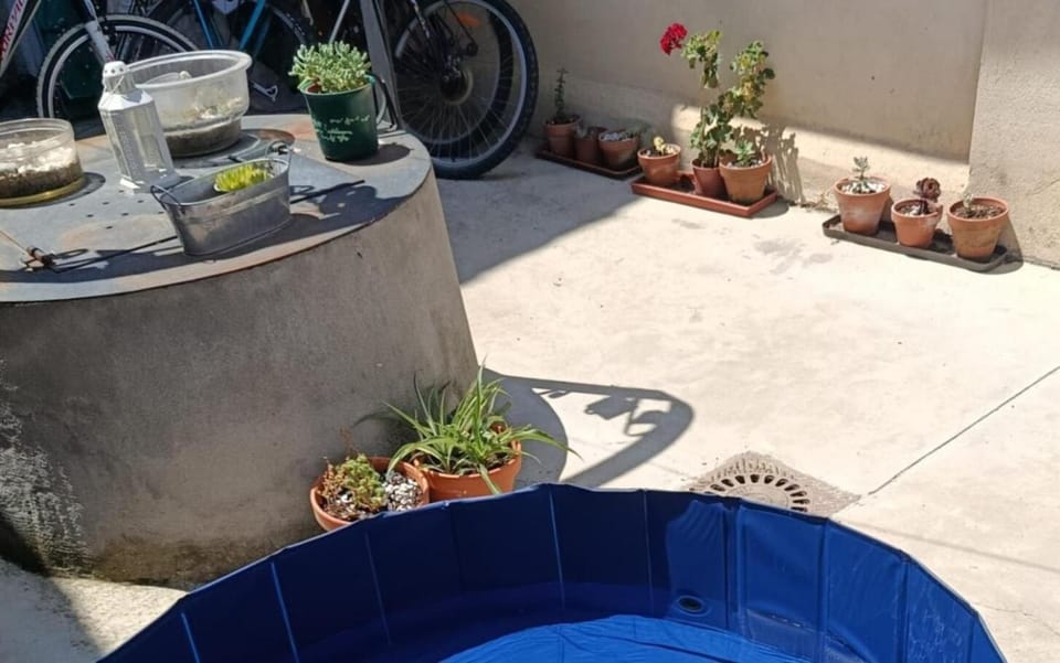 Patio, Patio, Pets, Pets, Swimming pool, Swimming pool, children, children, young children, young children, Inner courtyard view