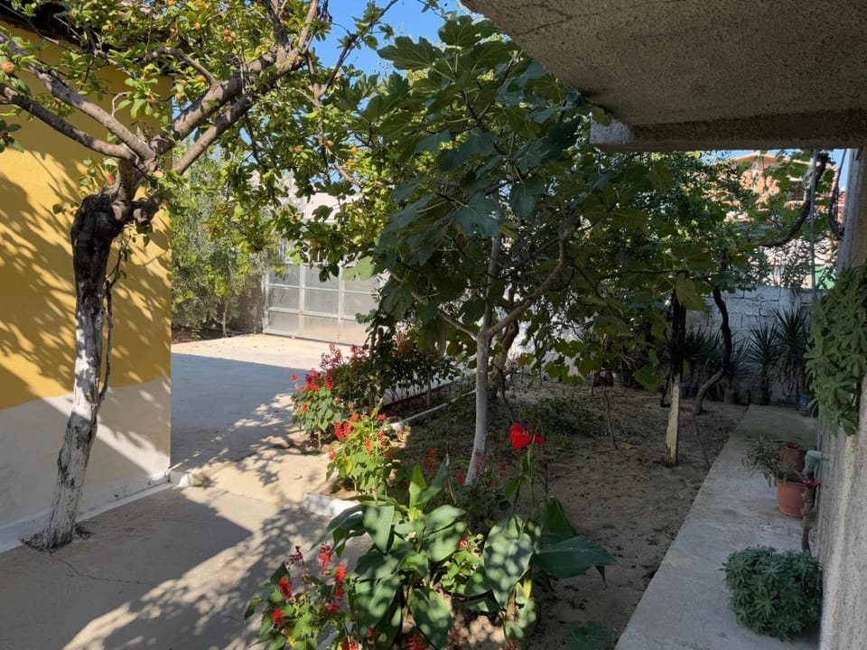 Garden, Garden view
