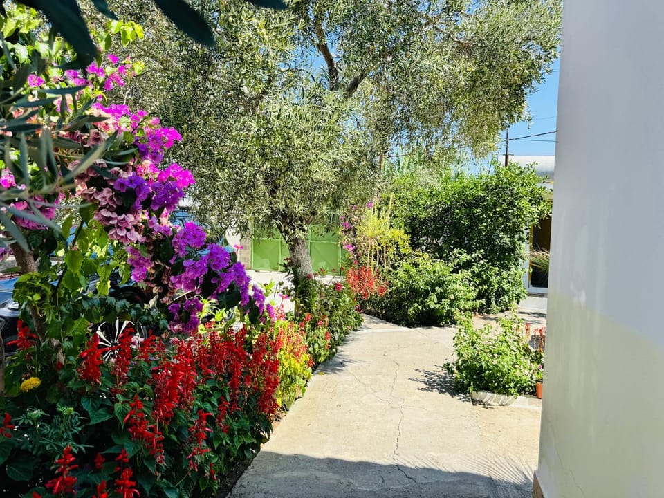 Garden, Garden, Garden view, Garden view