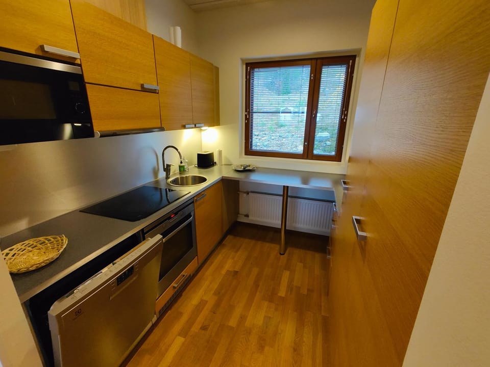 Kitchen or kitchenette, dishwasher, oven, stove