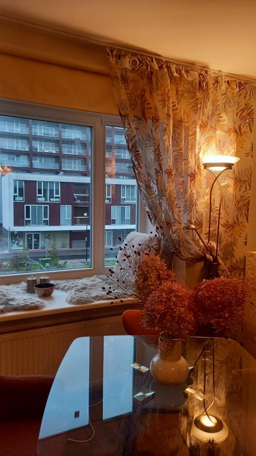 Pikk 6 Apartment in Estonia