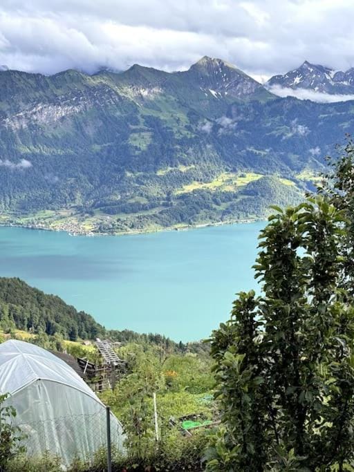 Day, Natural landscape, Lake view, Mountain view