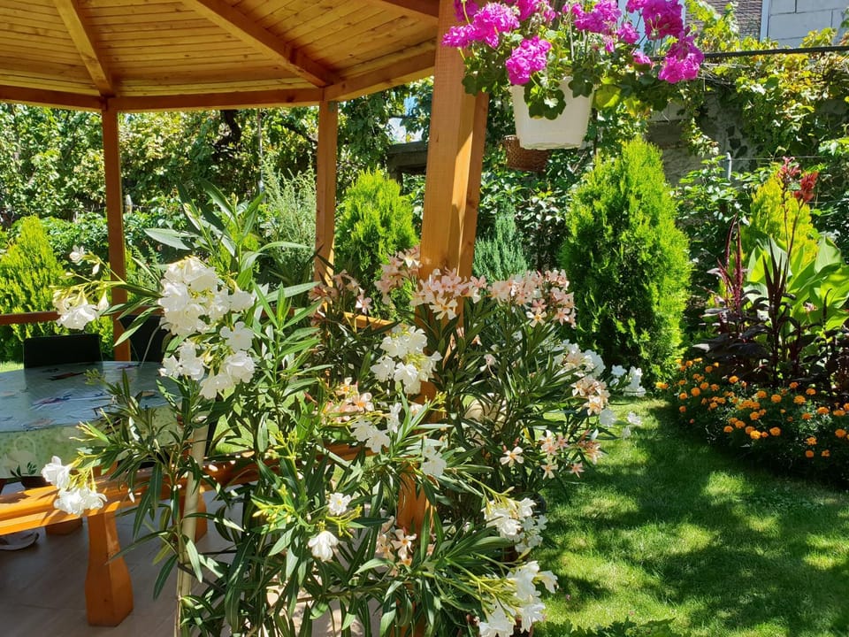 Kyurkchievi Guest House Bed and Breakfast in North Macedonia