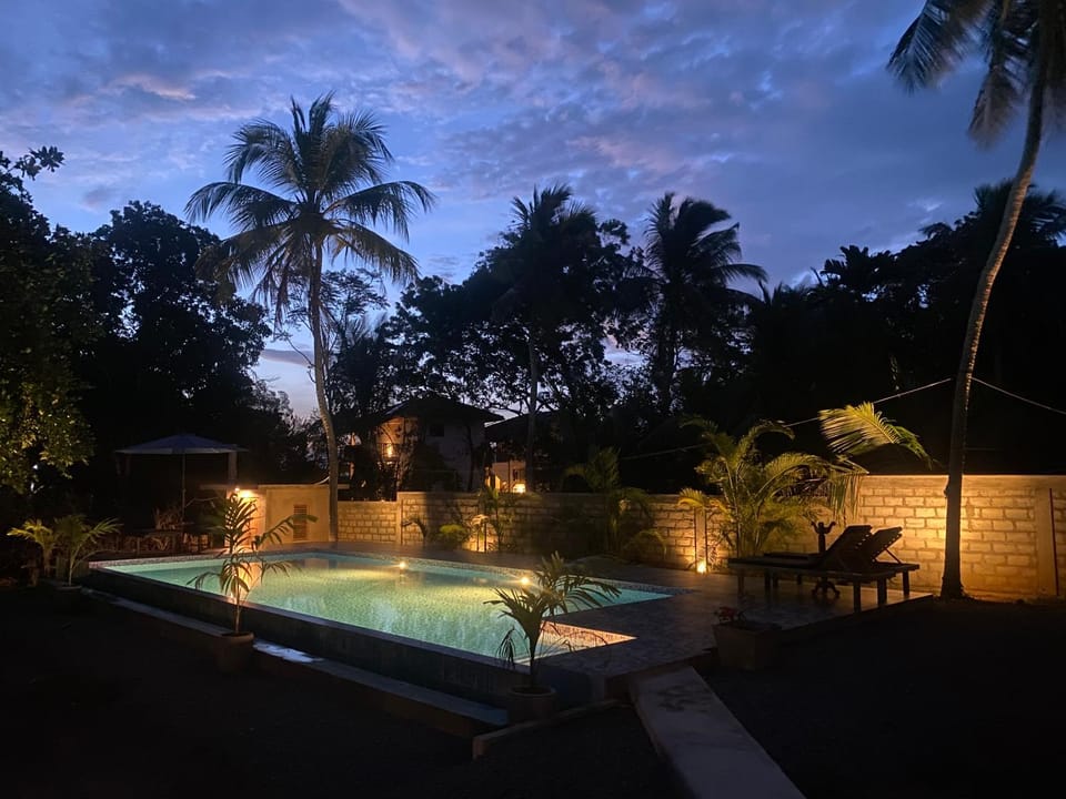 Night, Natural landscape, Garden, Garden view, Pool view, Swimming pool, sunbed