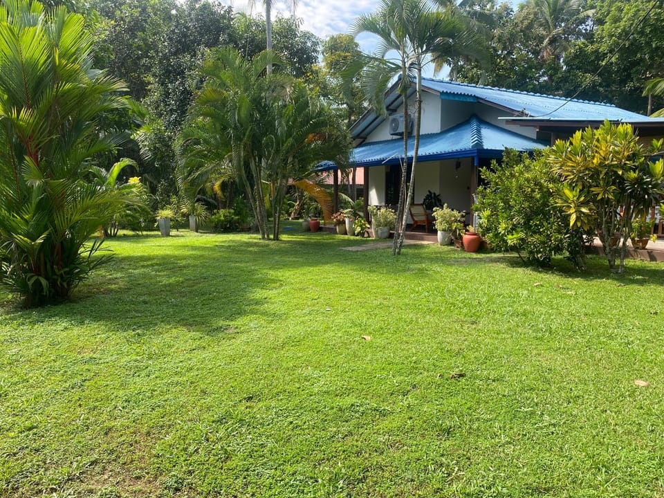 Day, Natural landscape, Garden, Garden view