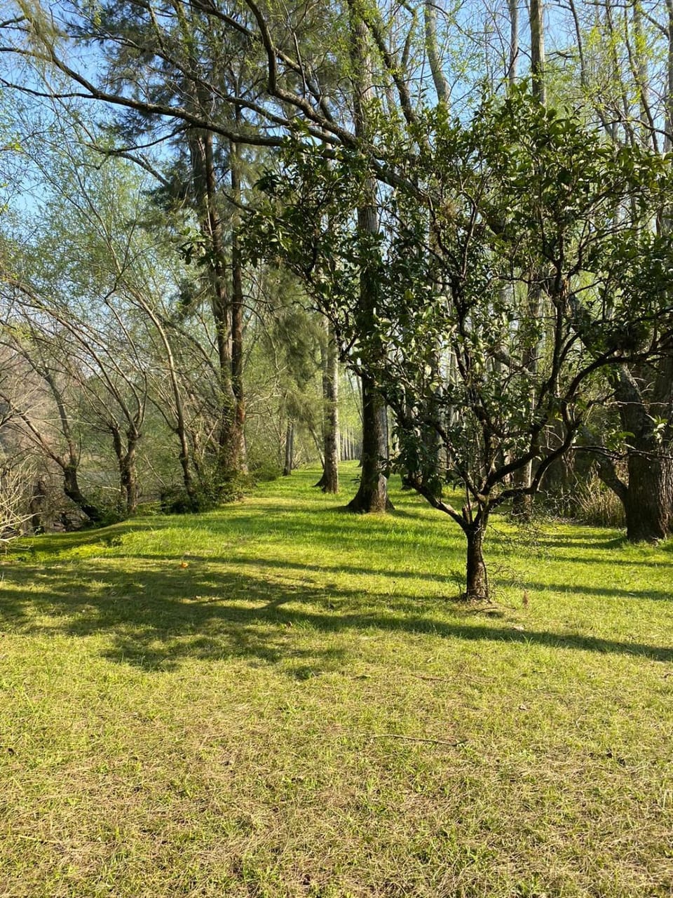 Natural landscape, Garden, Garden
