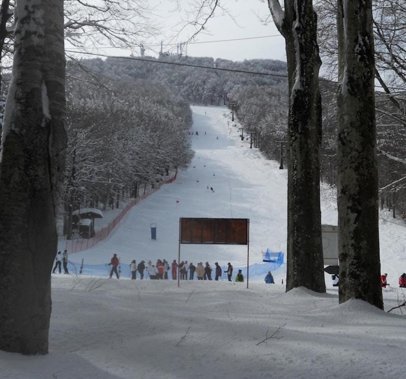 Skiing