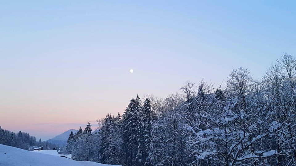 View (from property/room), Mountain view
