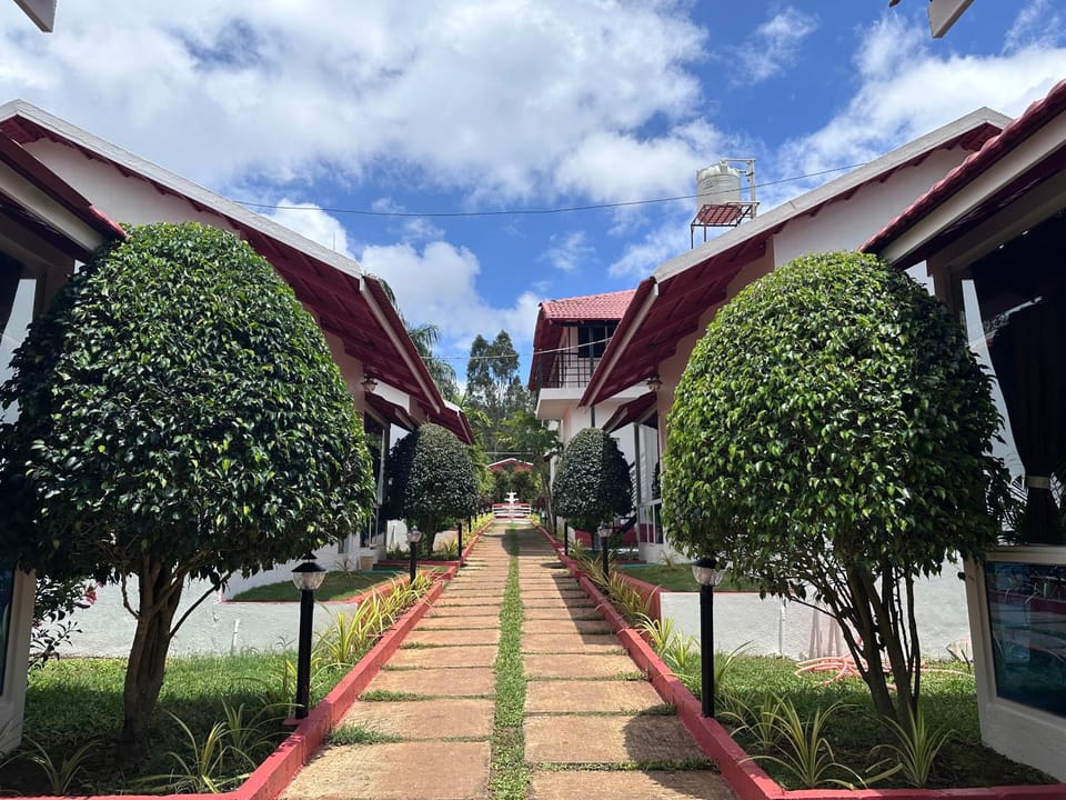 Property building, Day, Neighbourhood, Garden view