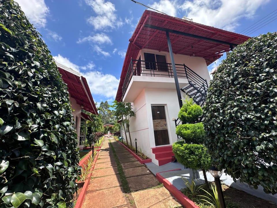 Property building, Garden, Garden view