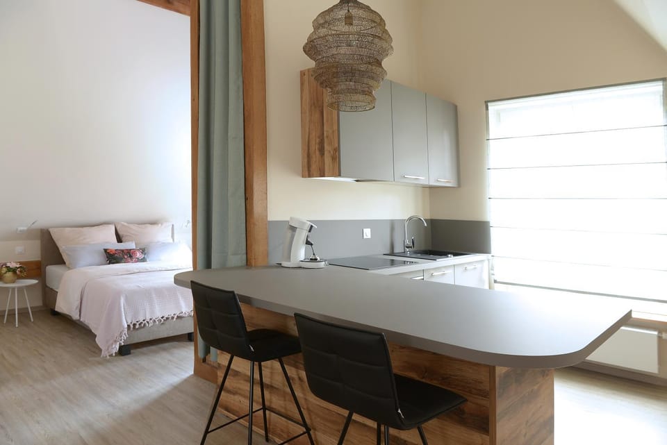 Kitchen or kitchenette, kitchen