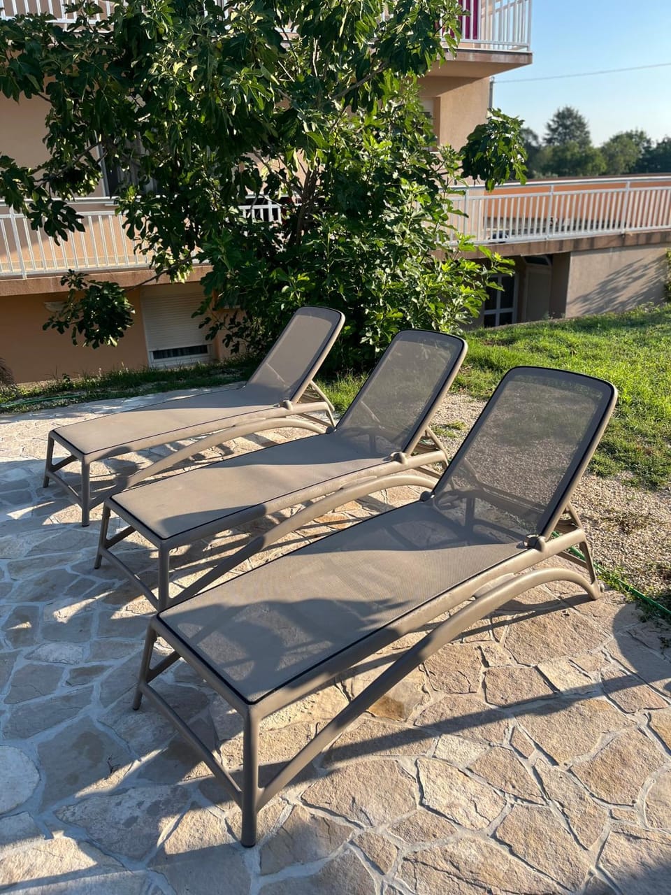 sunbed