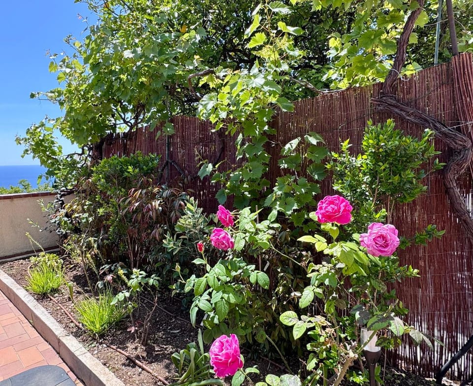 SeaView Home - Evasion près de Monaco House in Cap-d'Ail