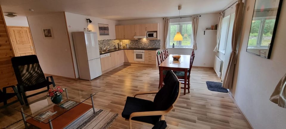 Kitchen or kitchenette, Seating area, Dining area, dishwasher, oven, stove