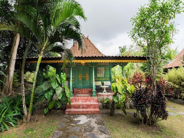Property building, Day, Garden