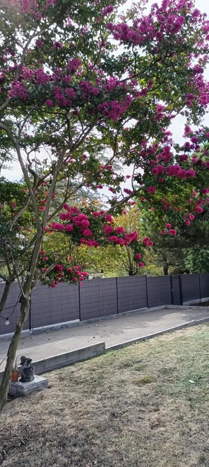 Spring, Day, Natural landscape, Garden, Garden view