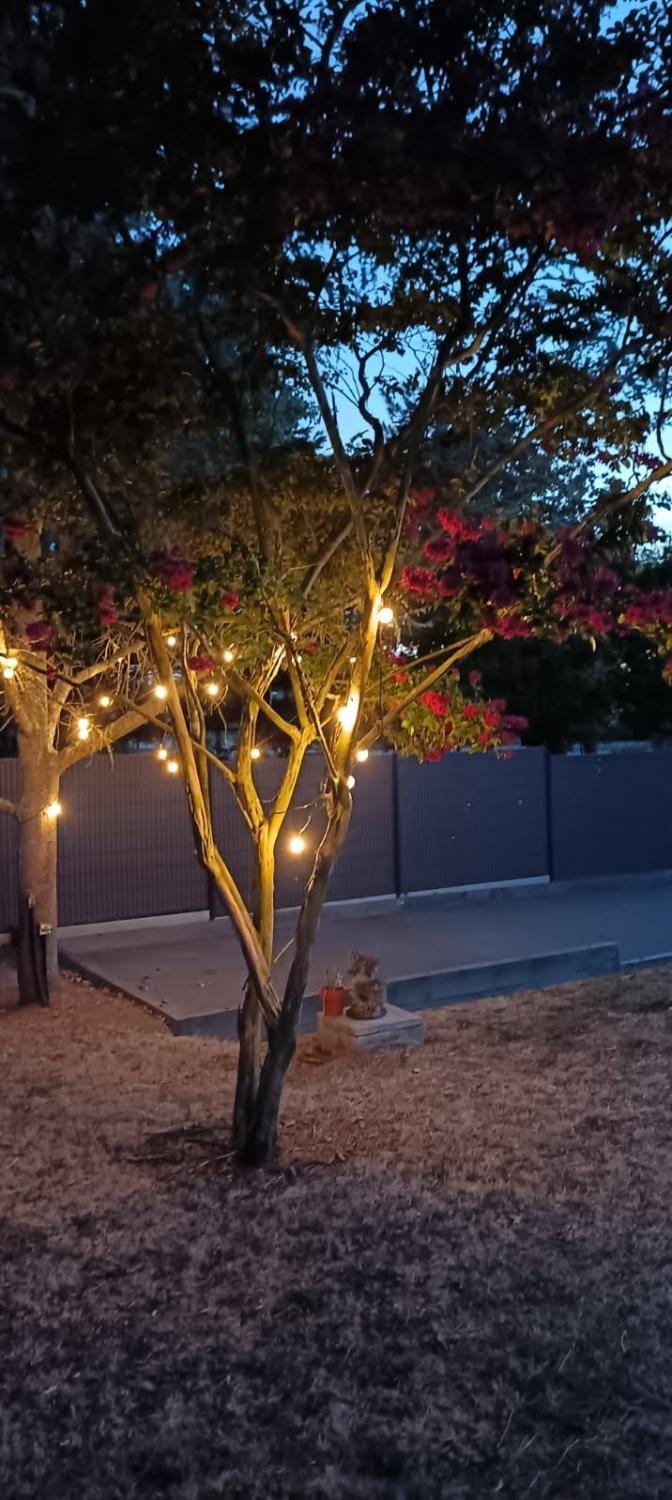 Spring, Night, Garden, Garden view