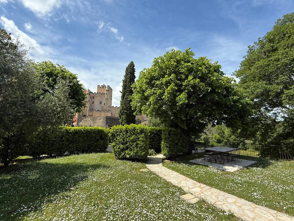 DREAM HOUSE in front of CHATEAU DE BEYNAC in Perigord , Dordogne House in Occitanie