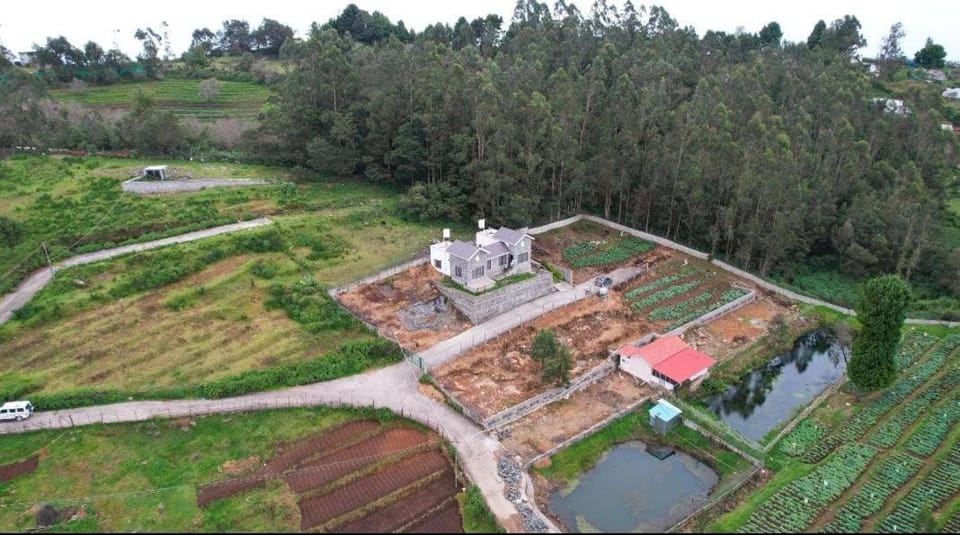Property building, Garden view