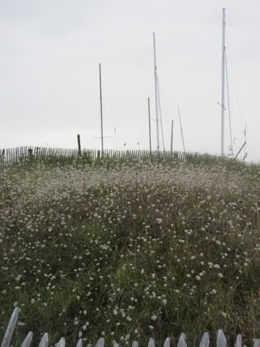 Natural landscape