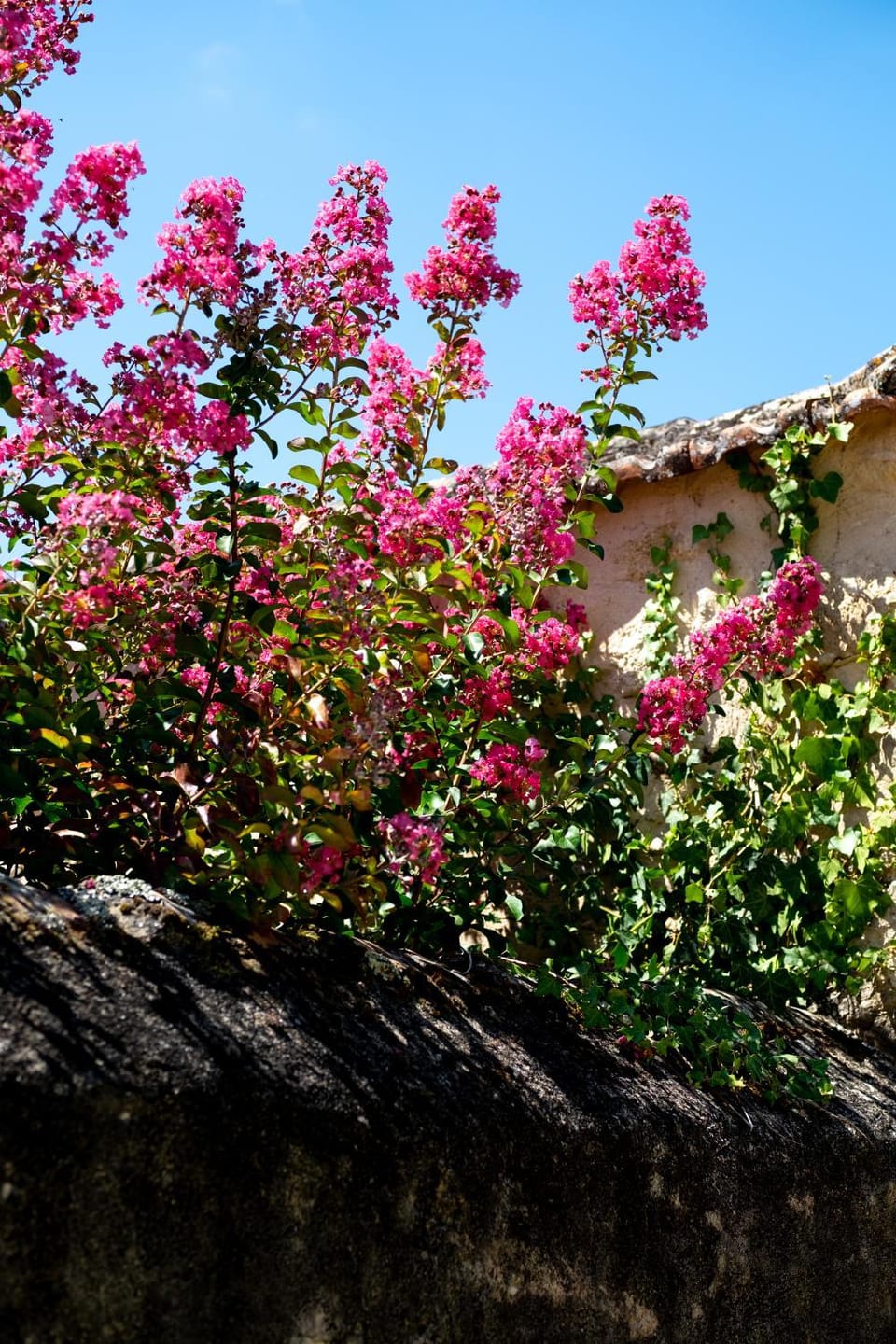 Refuge de Perreau House in Nouvelle-Aquitaine