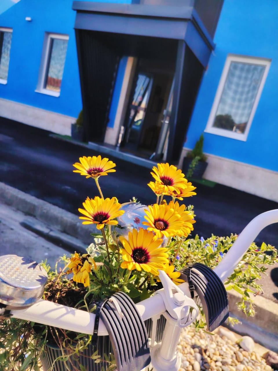 B & B Drava Hotel in Hungary
