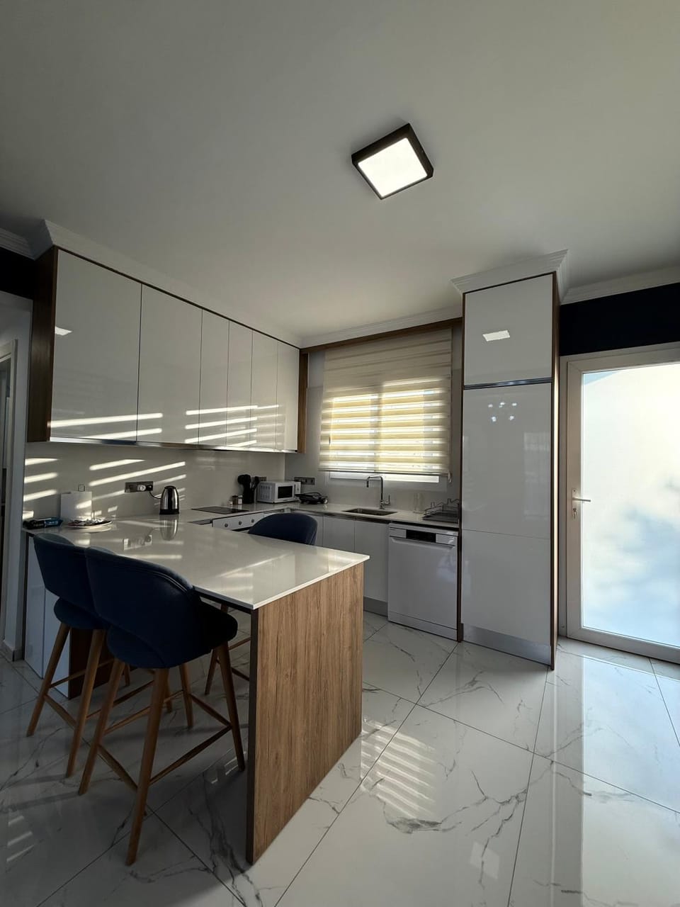 Kitchen or kitchenette, dishwasher, oven