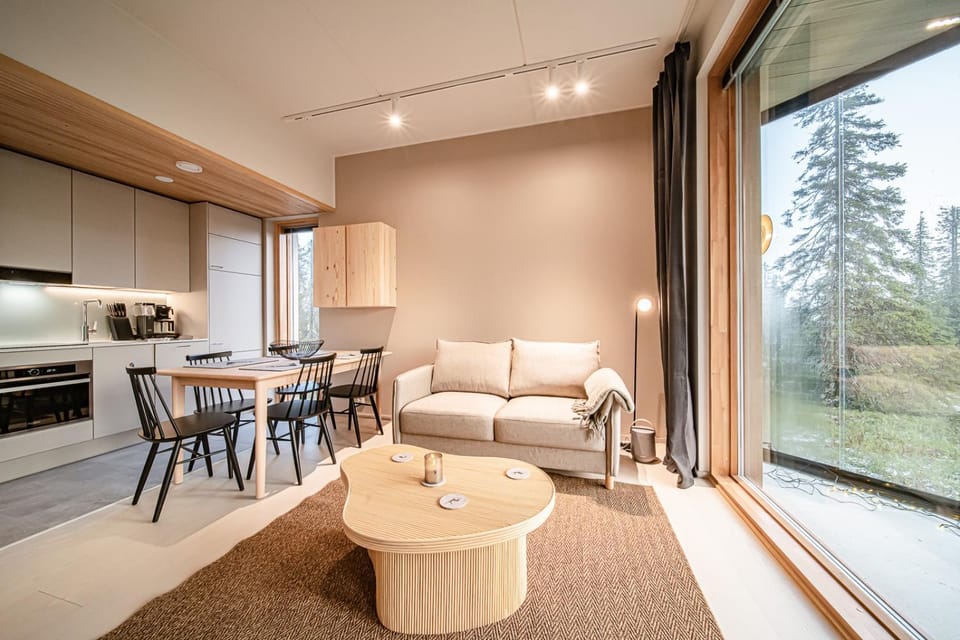 Living room, Dining area, heating, internet