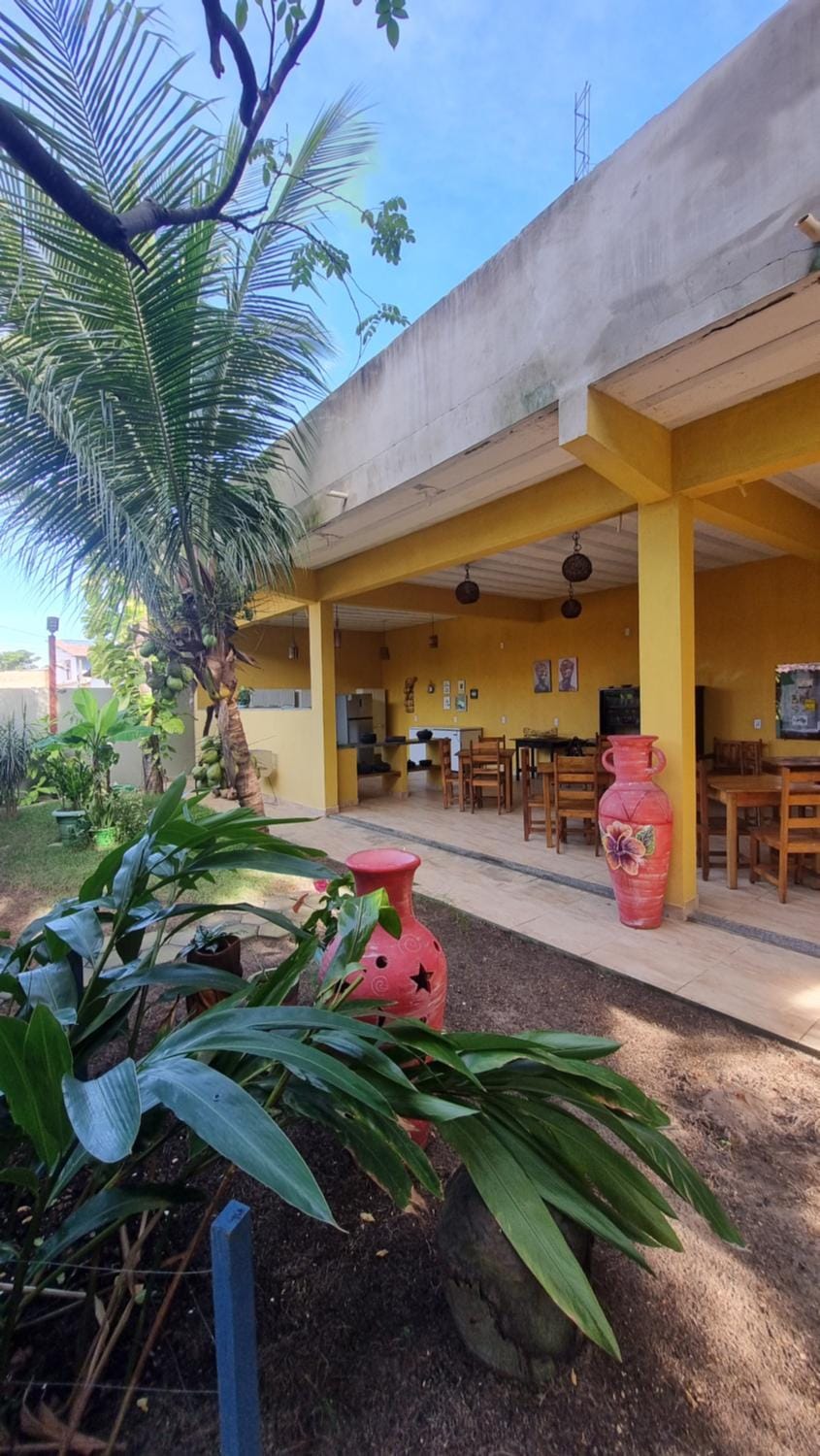 Patio, Garden, Garden view