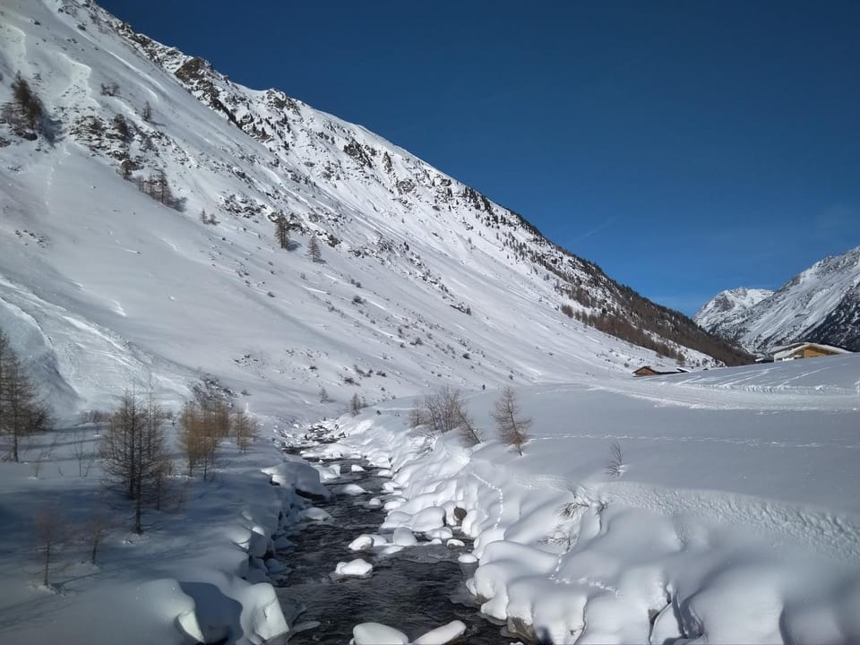 Natural landscape
