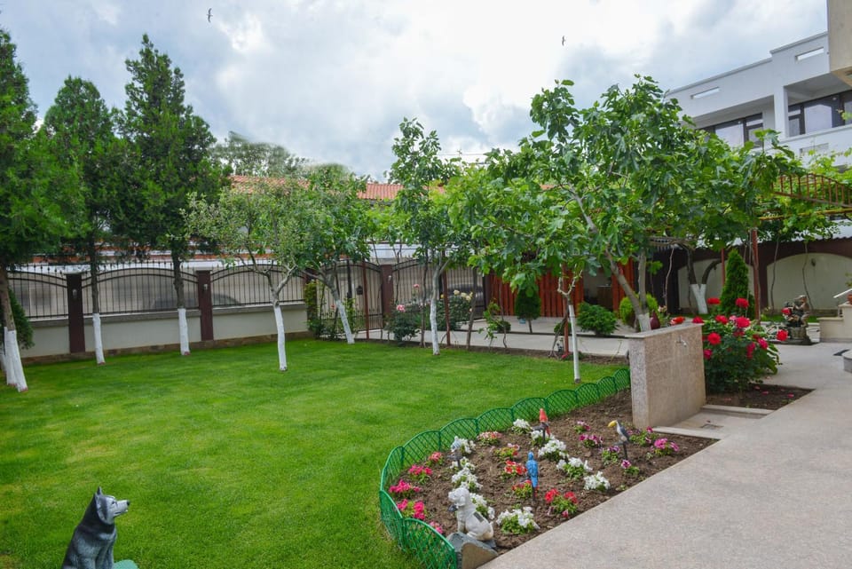 Day, Natural landscape, Garden, Garden view