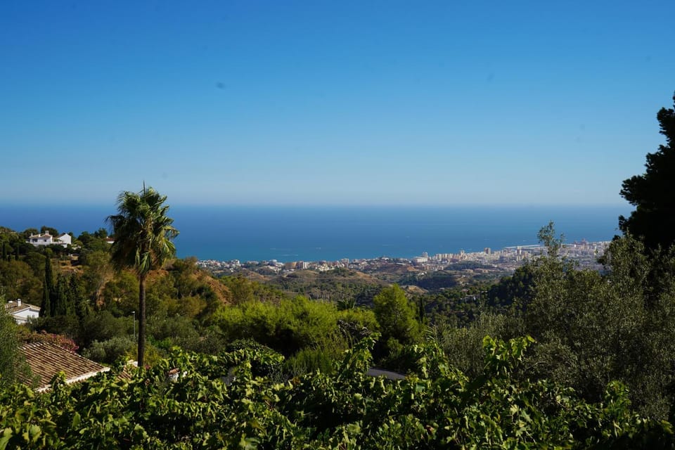 View (from property/room)