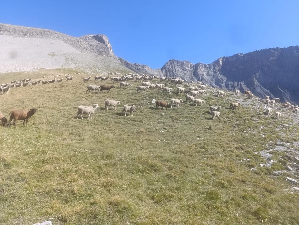 Natural landscape
