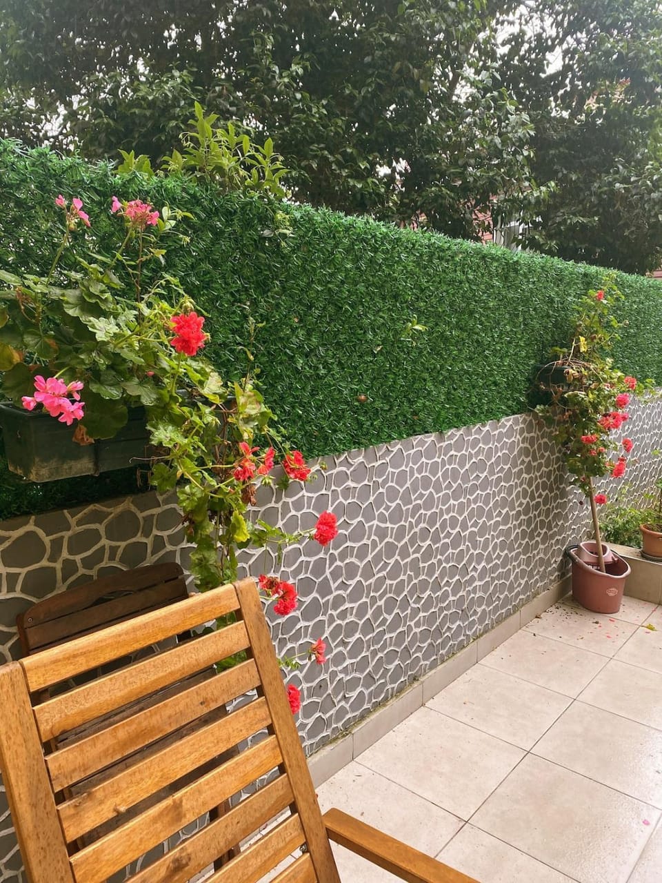 Patio, Garden, Garden view