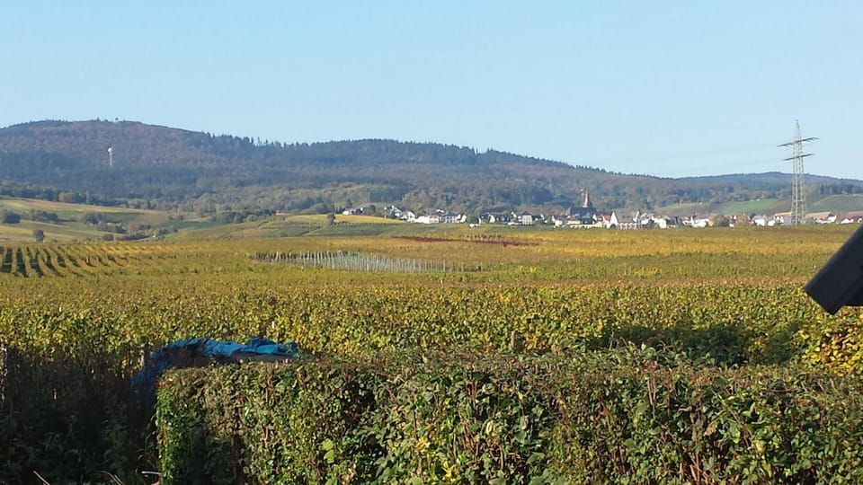 Natural landscape, Autumn, On site, Landmark view, Mountain view