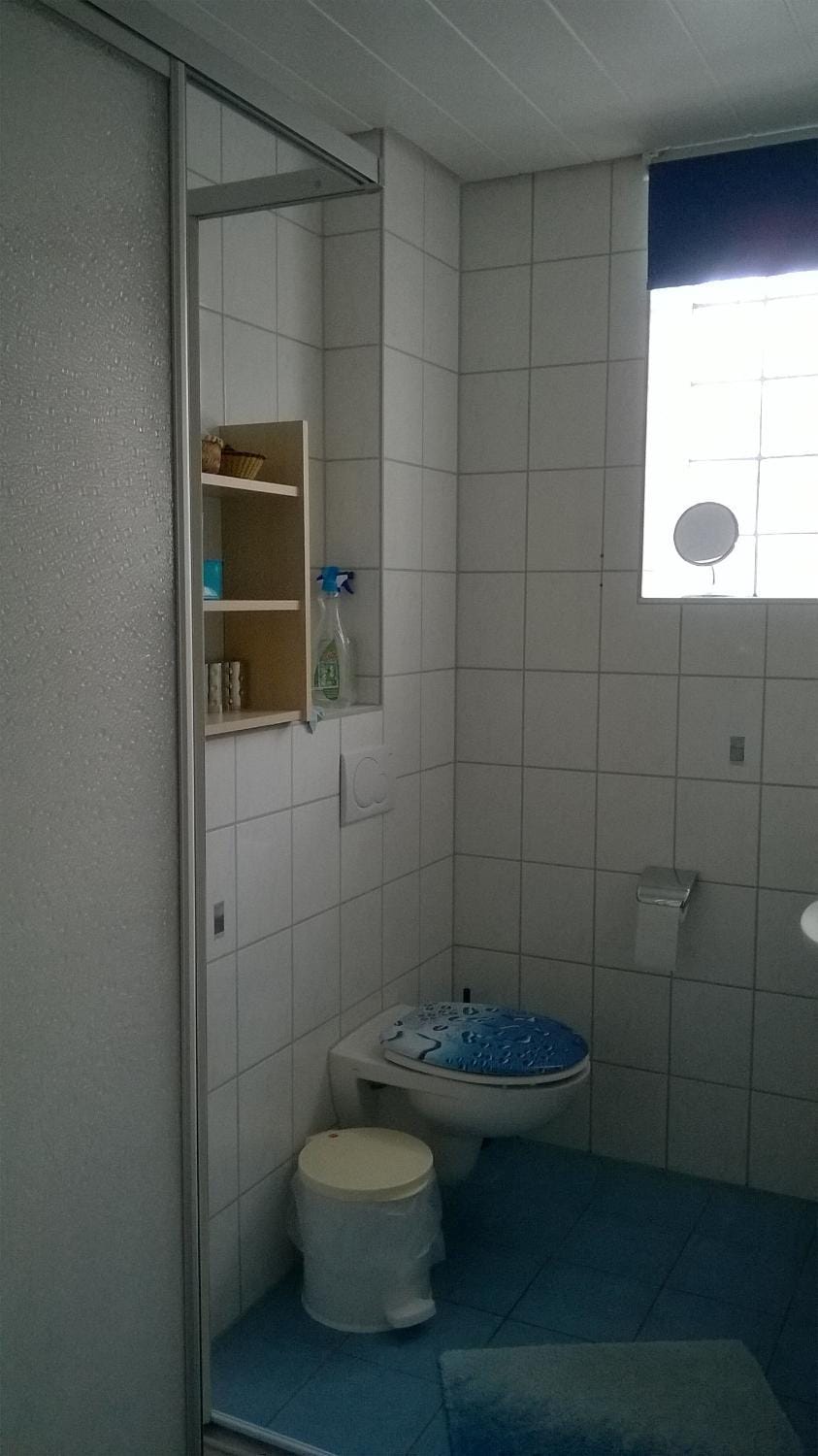 Shower, Toilet, Decorative detail