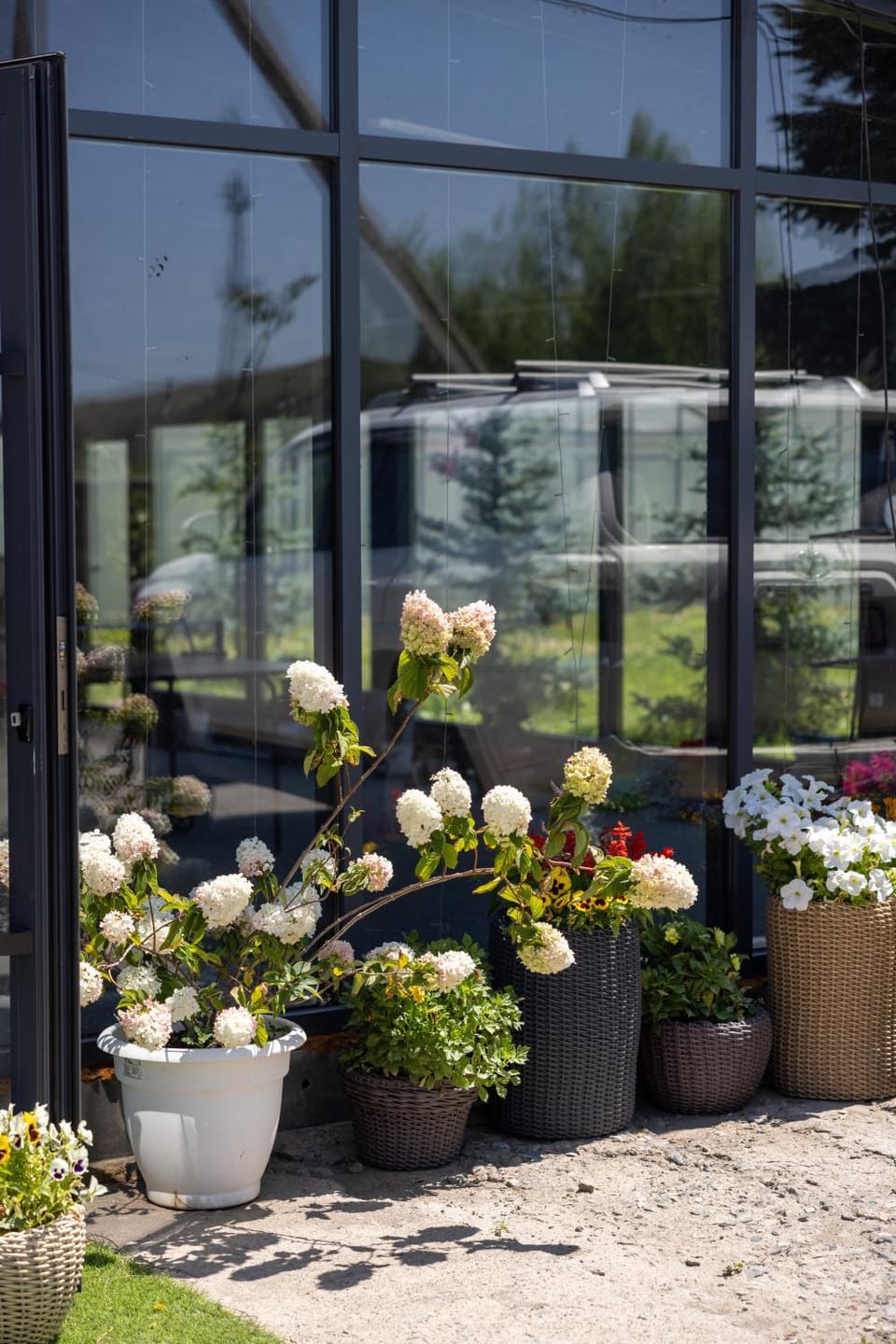 Spring, Garden, Garden view