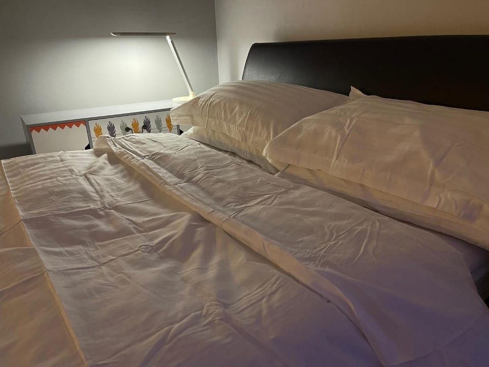 Large Double Bedroom 10 minutes to Central London Bed and Breakfast in London