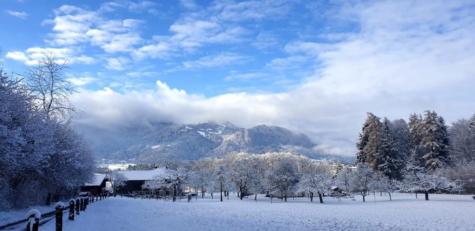 Natural landscape, Winter