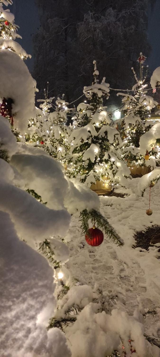 Winter