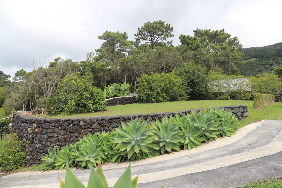 Natural landscape, Garden, Mountain view