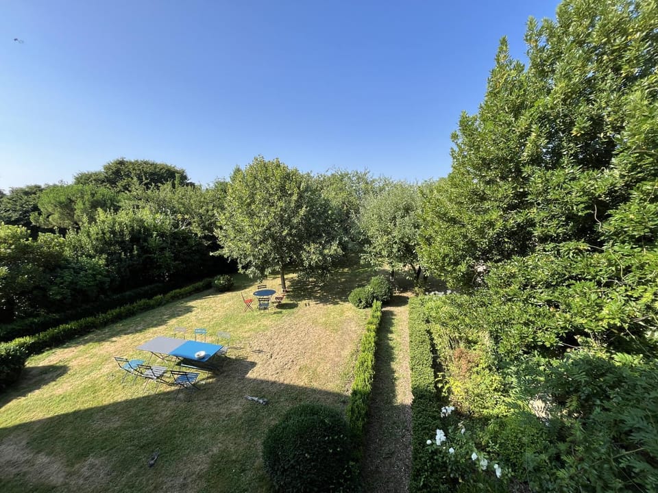 Natural landscape, Garden, Garden, Garden view