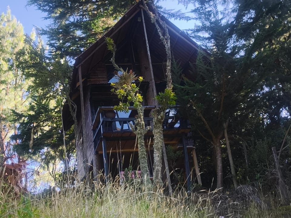 Cabañas Del Árbol n2 Campground/ 
RV Resort in Cundinamarca, Colombia