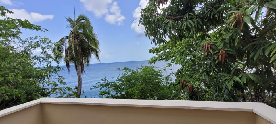 Schoelcher Beau T2 tout confort vue sur mer Wifi gratuit House in Fort-de-France