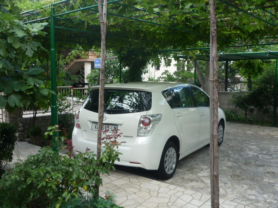 Garden, Area and facilities