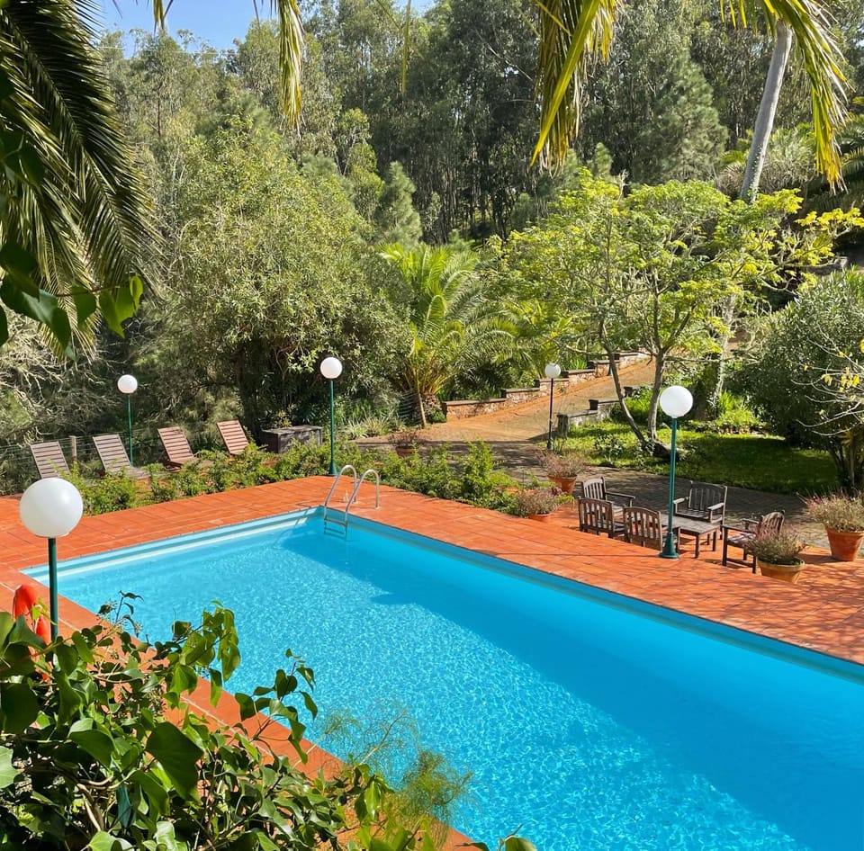 Day, Garden, Swimming pool, sunbed