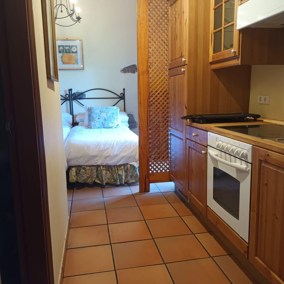 Bed, Kitchen or kitchenette, Bedroom, oven, stove