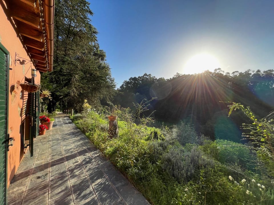 Day, Natural landscape, Garden view, Mountain view, Sunset