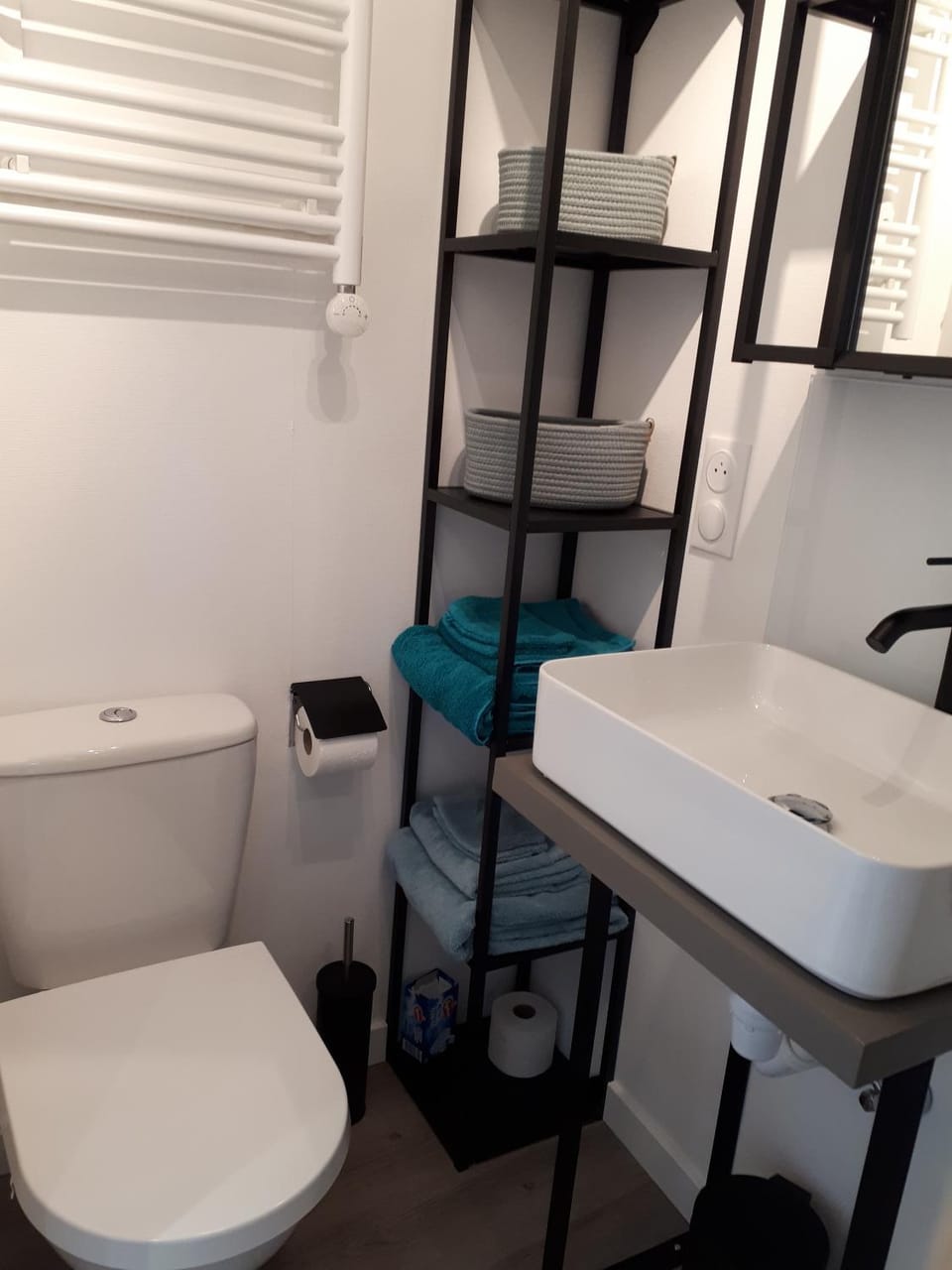 Toilet, Bathroom