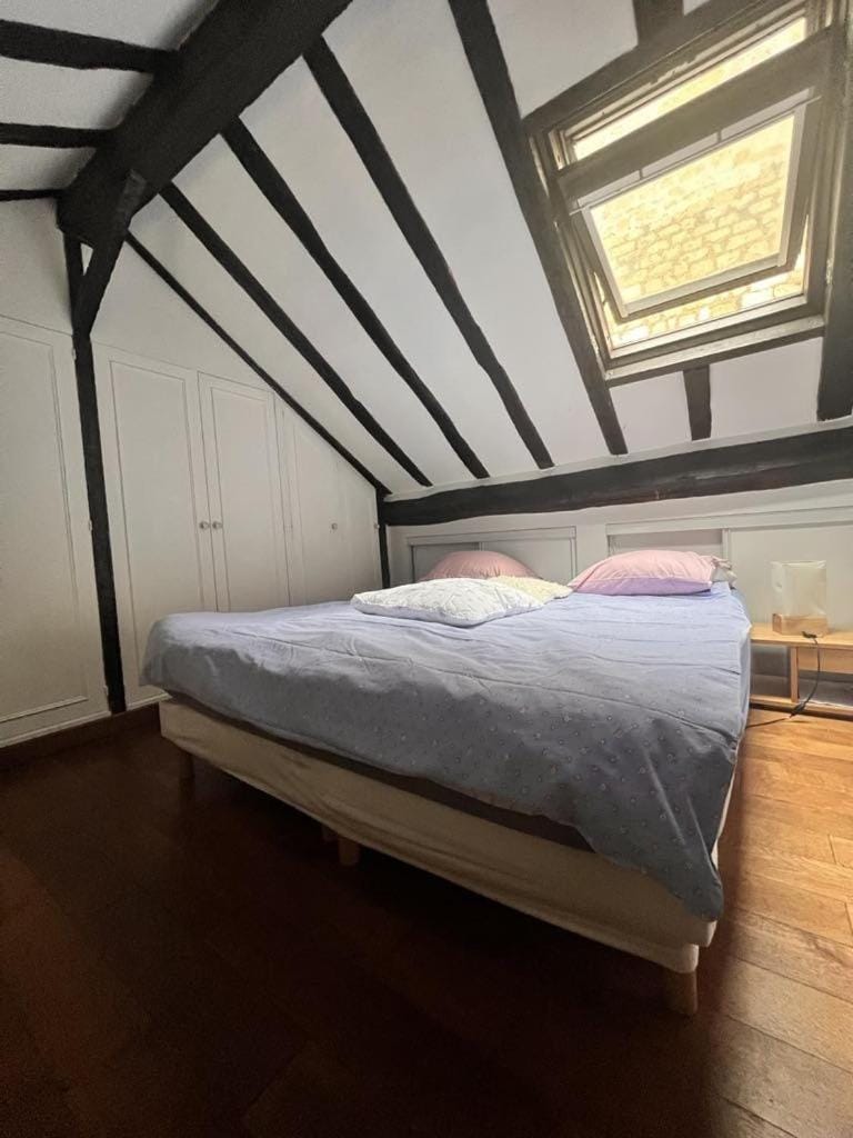Appartement Saint-Germain-Des-Prés Apartment in Paris